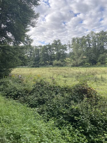 Elsebad Rundweg A7