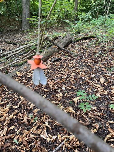 Langeleben Elfenpfad