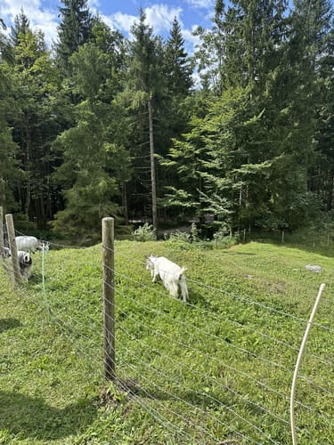 Von Oberwössen zur Feldlahn-Alm