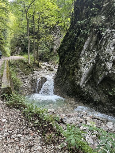 Von Oberwössen zur Feldlahn-Alm