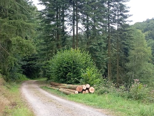 Lantenbach Rundweg A4