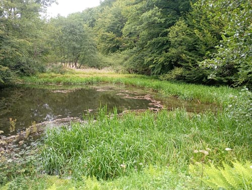 Lantenbach Rundweg A4