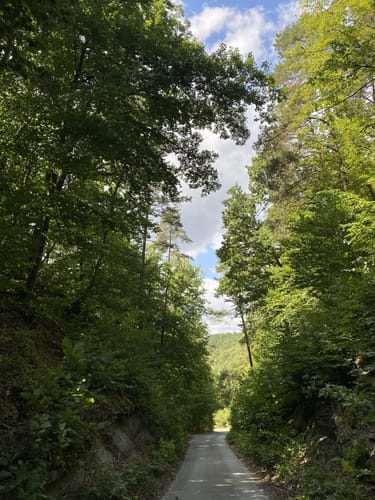 Panoramawanderung Mönchberg - Kayh