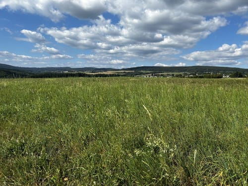 Köhlerpfad am Steinbach (Traumschleife)