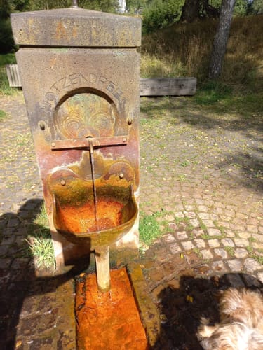 HeimatSpur Dreeswanderweg