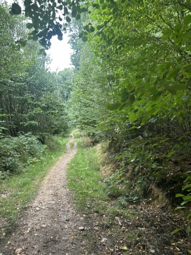 Rundwanderung Daipenbecke
