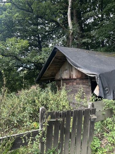 Rundwanderung Daipenbecke