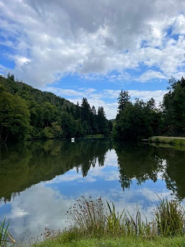 Wisper Geflüster (Premiumwanderweg)