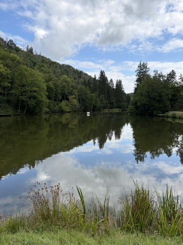 Wisper Geflüster (Premiumwanderweg)