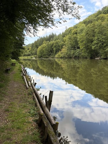 Wisper Geflüster (Premiumwanderweg)