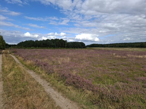 Rundweg Wendisch Lieps 2