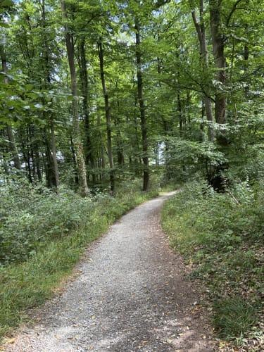 Holperdorper (Teutoschleife)