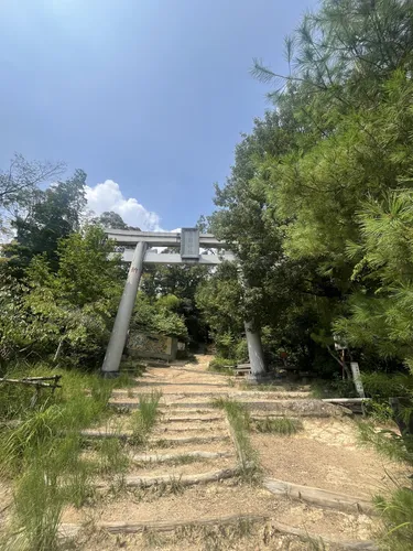 Mt. Tenno - hikes and trails to get you there | AllTrails