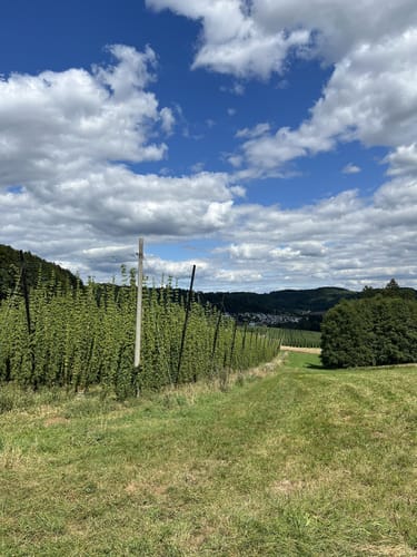 Simmelsdorfer Rundwanderweg Grün 1