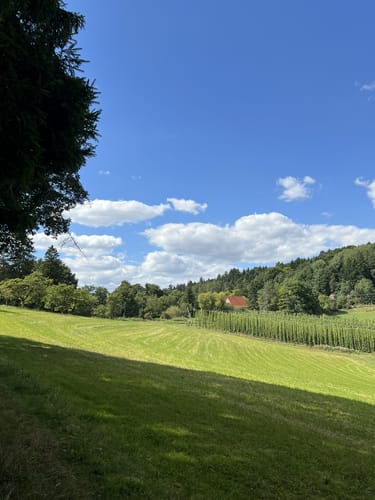 Simmelsdorfer Rundwanderweg Grün 1