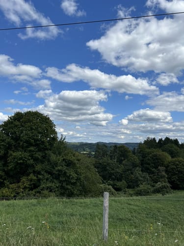 Simmelsdorfer Rundwanderweg Grün 1