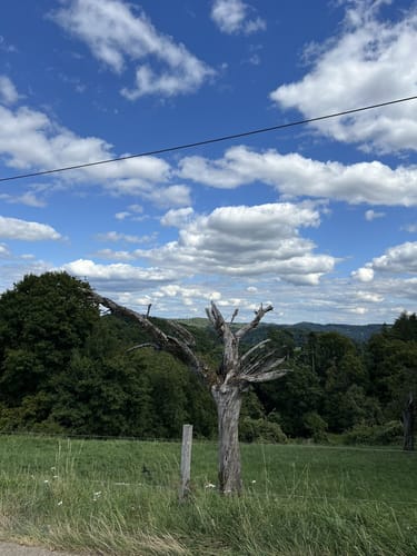 Simmelsdorfer Rundwanderweg Grün 1