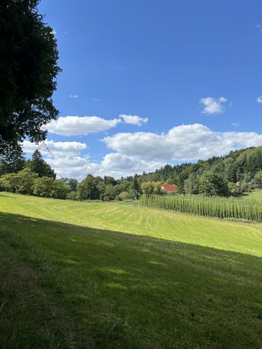 Simmelsdorfer Rundwanderweg Grün 1