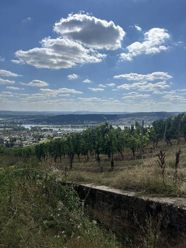 Hildegardweg