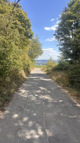 Hildegardweg