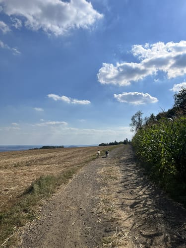 Von Feldkirchen zur Brombeerhütte