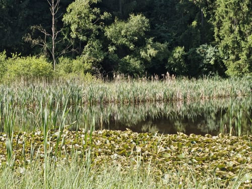 Meißner Rundweg 6