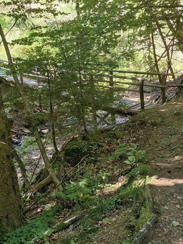 Meißner Rundweg 6