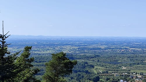Durbacher Weitblick (Premiumwanderweg)