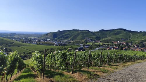 Durbacher Weitblick (Premiumwanderweg)