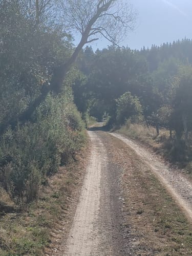 Medebach Rundweg M4