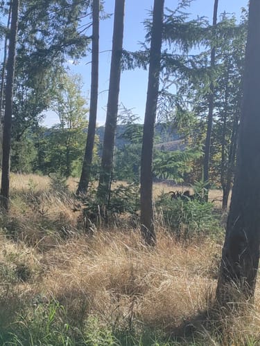 Medebach Rundweg M4