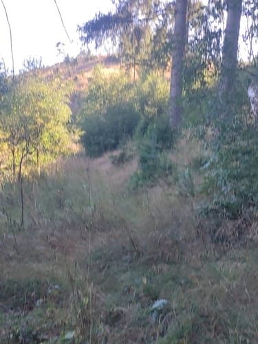 Medebach Rundweg M4