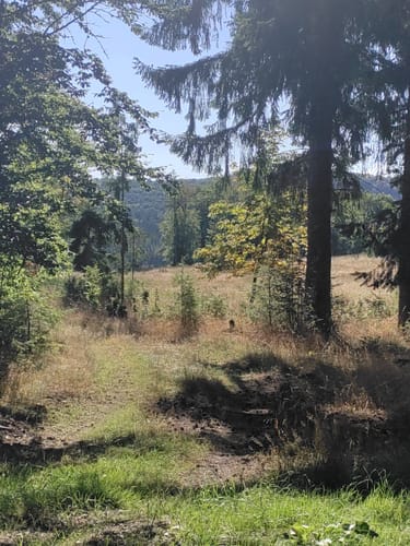 Medebach Rundweg M4