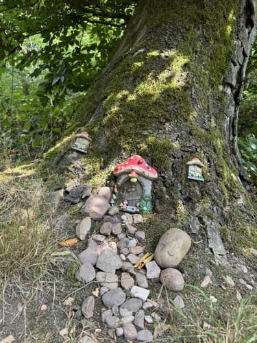 Litermont Gipfeltour (Traumschleife )