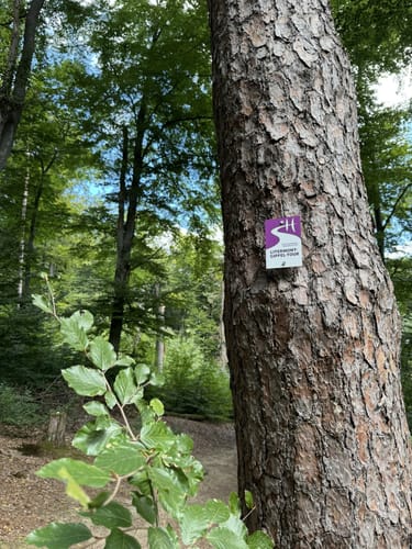 Litermont Gipfeltour (Traumschleife )