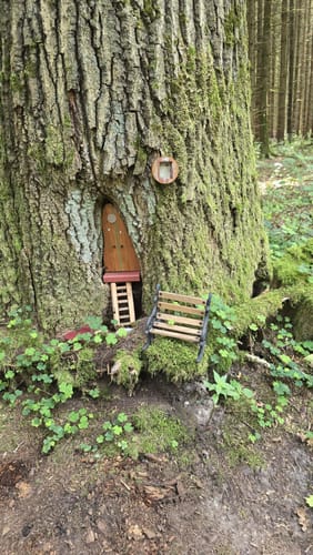 Kleine Waldrunde bei Moosinning