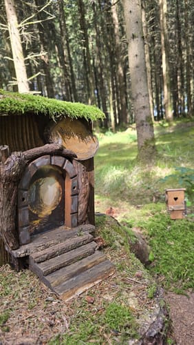 Kleine Waldrunde bei Moosinning