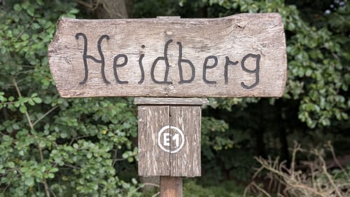MTB Trail: Hütti-Trail Grundstrecke Blau