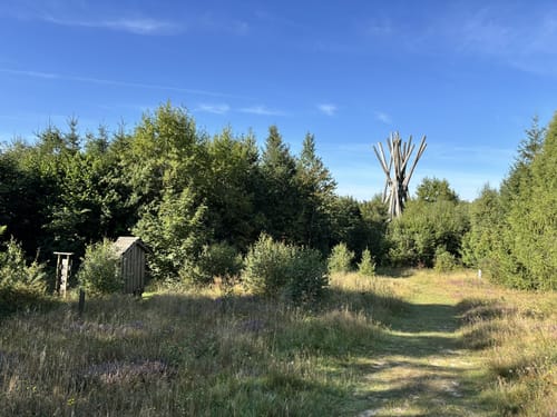 Rothaarsteig Etappe 1: Brilon - Willingen