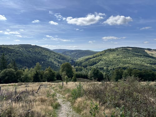 Rothaarsteig Etappe 1: Brilon - Willingen