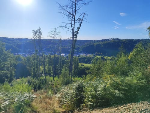 Steinenbrück Rundweg A1
