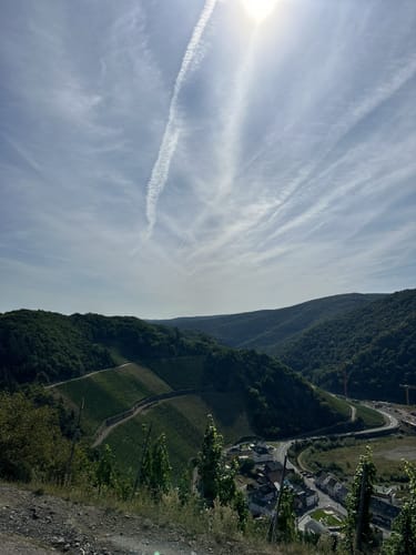 Ringener Waldrunde