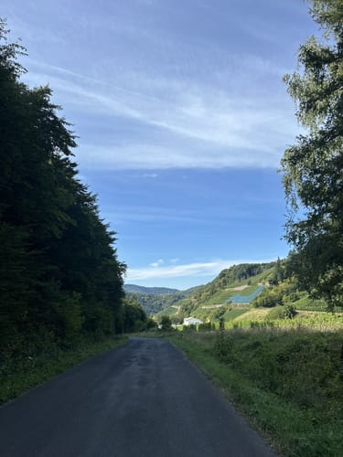 Ringener Waldrunde