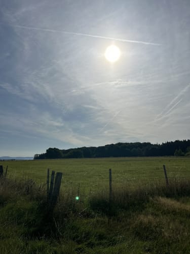Ringener Waldrunde