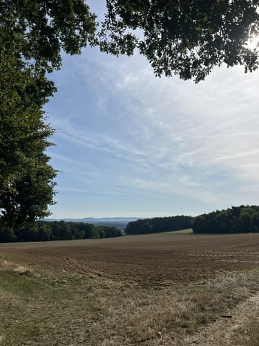 Ringener Waldrunde