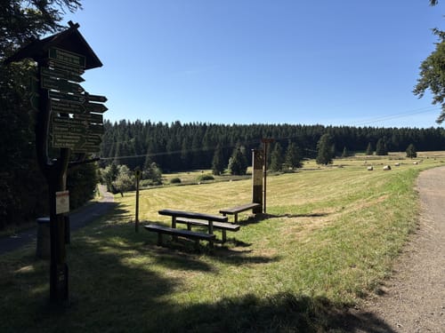 Rennsteig Etappe 3: Ebertswiese -  Grenzadler