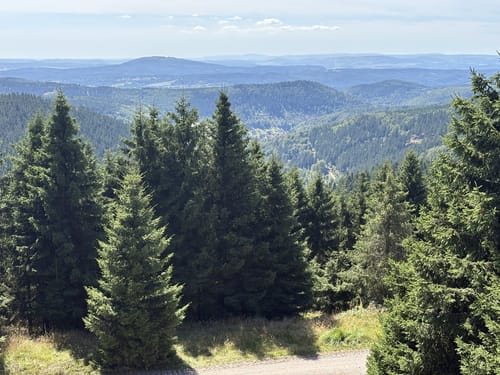 Rennsteig Etappe 3: Ebertswiese -  Grenzadler