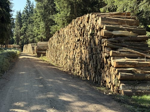 Rennsteig Etappe 3: Ebertswiese -  Grenzadler