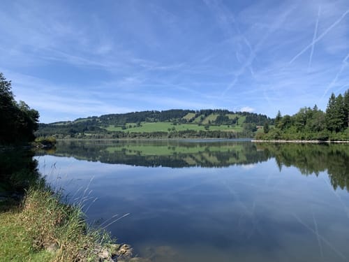 Um den Grüntensee