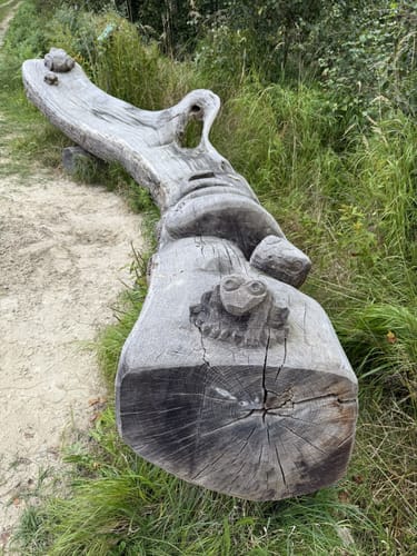 Küstenmoor Rundtour